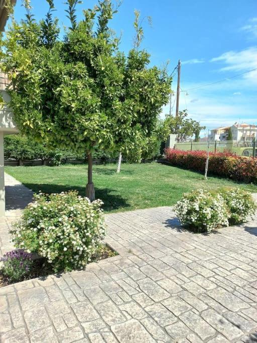 בית נופש Gaia With Garden *