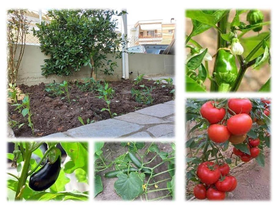 Gaia With Garden *